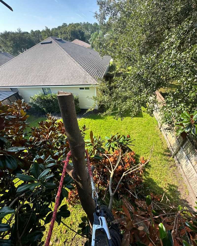 Document Everything Before Cutting