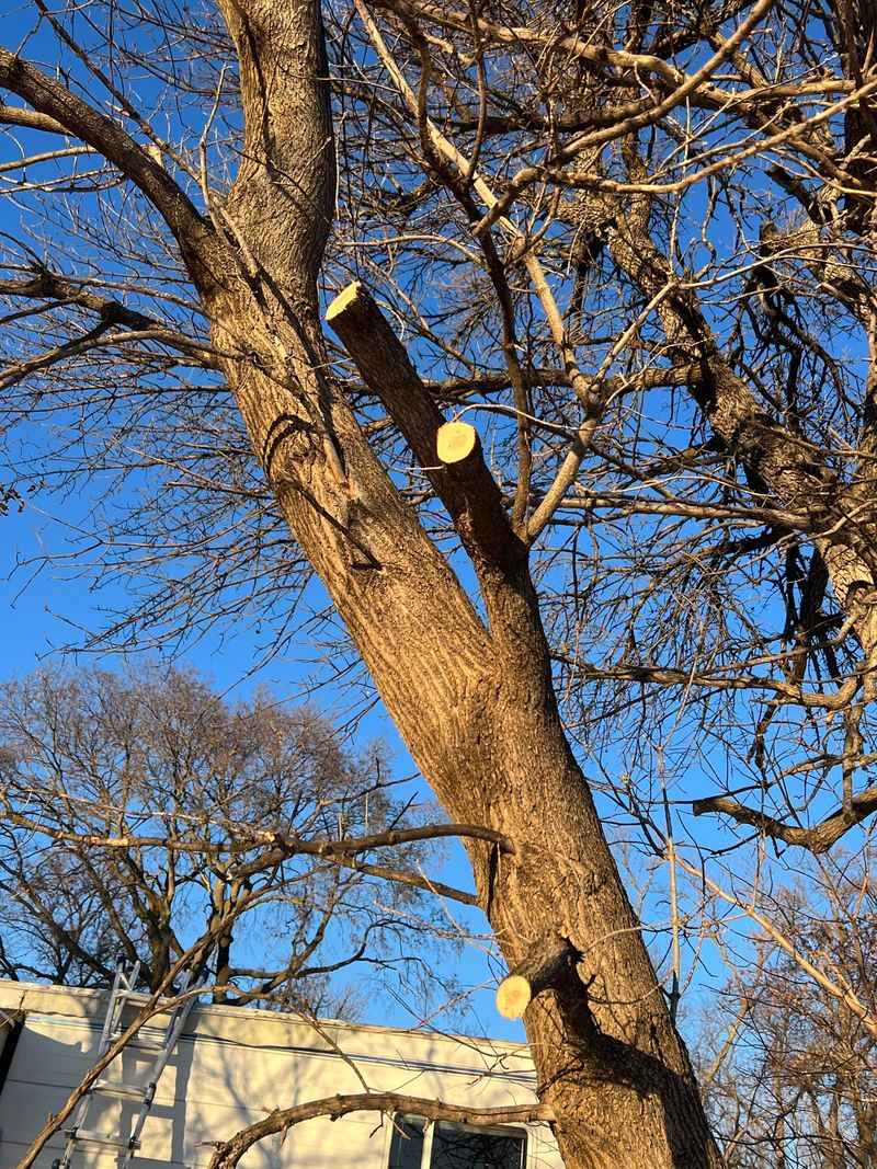 Property Lines Matter Greatly