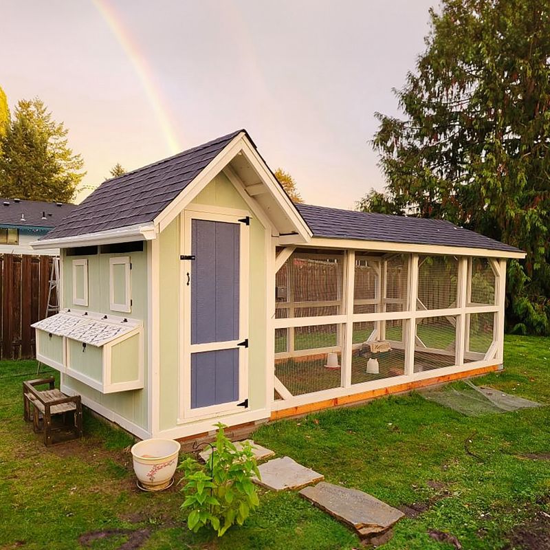 Backyard Chicken Coops