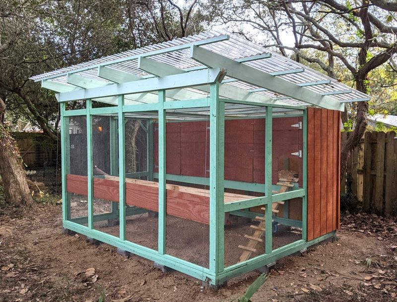 Backyard Chickens Without Permits