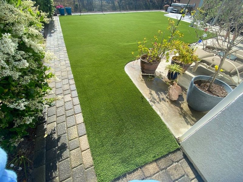 Artificial Turf Lawns
