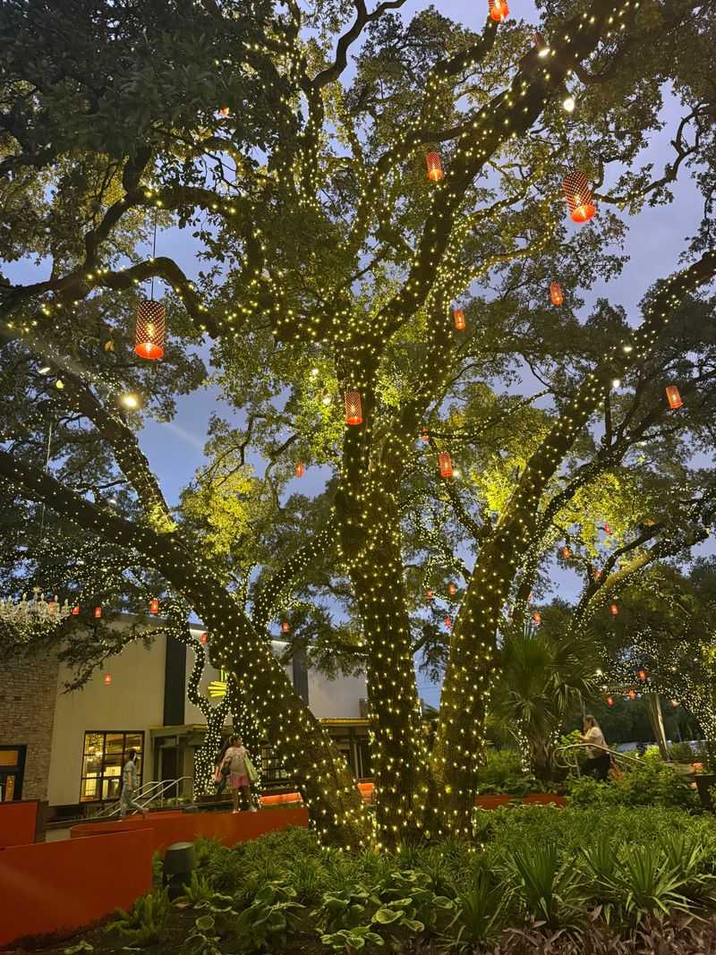 The Domain: Shopping Center With Minimal Green Relief