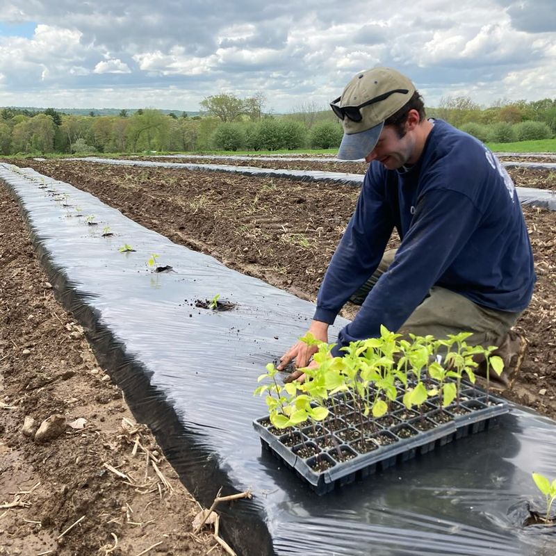 Installation Takes Just Minutes Per Bed