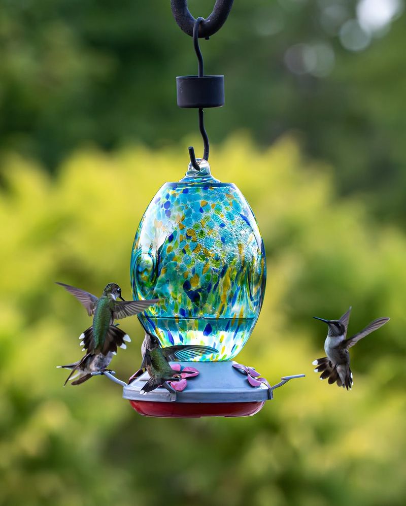 Keep Feeders Up Through November