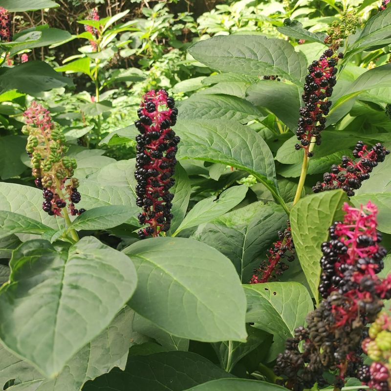 Nobody Talks About It Positively