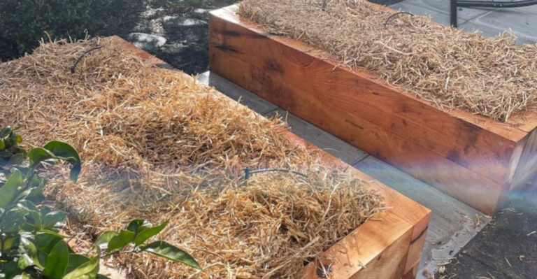 straw bale gardening beds