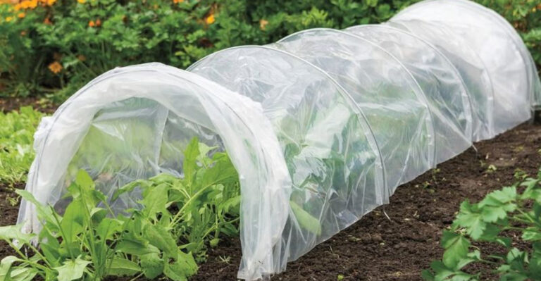 row cover in a winter garden