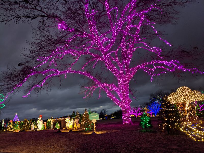 Zilker Neighborhood: Living Next To Austin's Green Heart