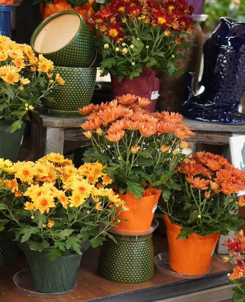 Temperature Protection Is Key