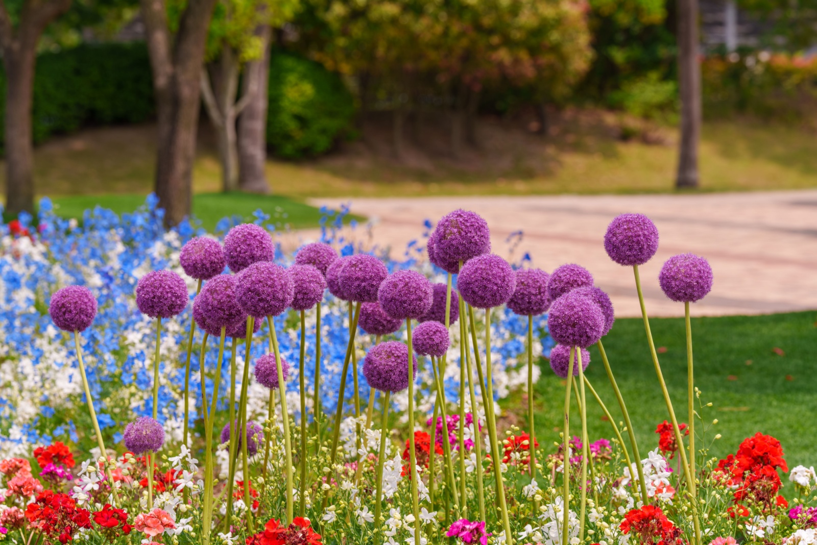 The Epsom Salt Trick Tennessee Gardeners Use For Brighter Blooms