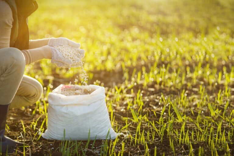Adult woman applying fertilizer plant food to soil