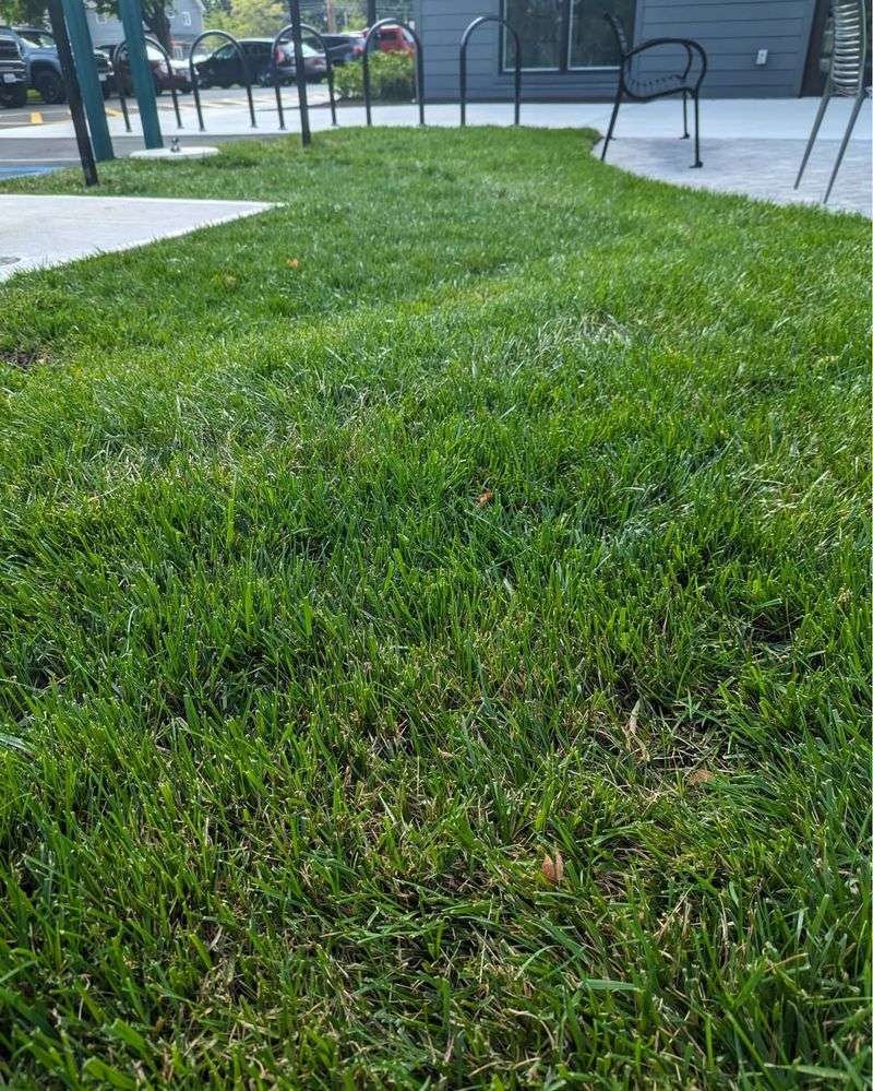 Prevents Nutrient Waste During Winter