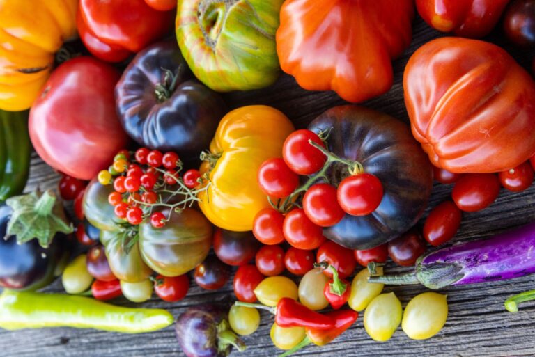 Colourful heirloom vegetables on grey rustic background
