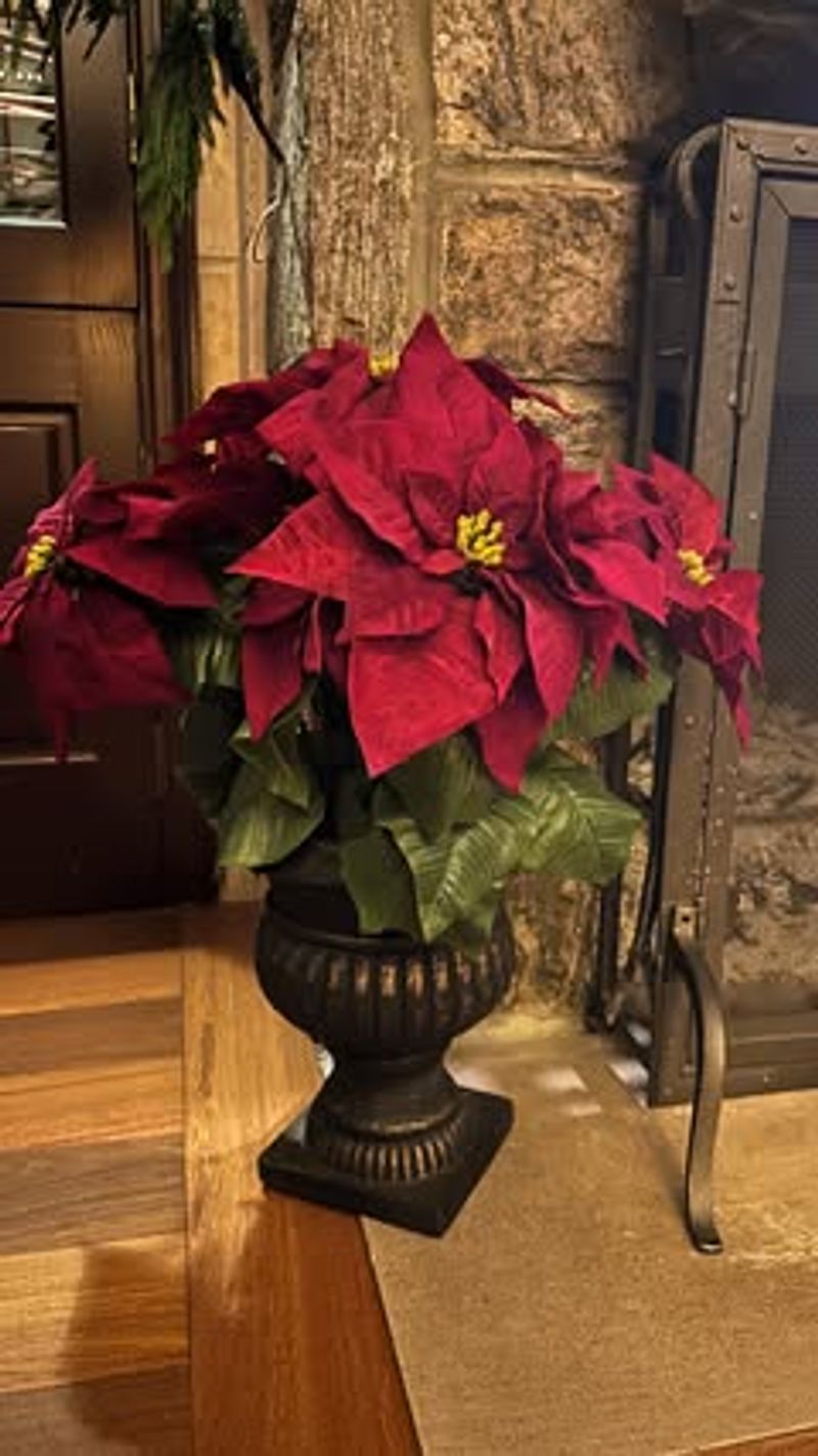 Why Oversized Artificial Plants Can Feel So Unsettling After Dark