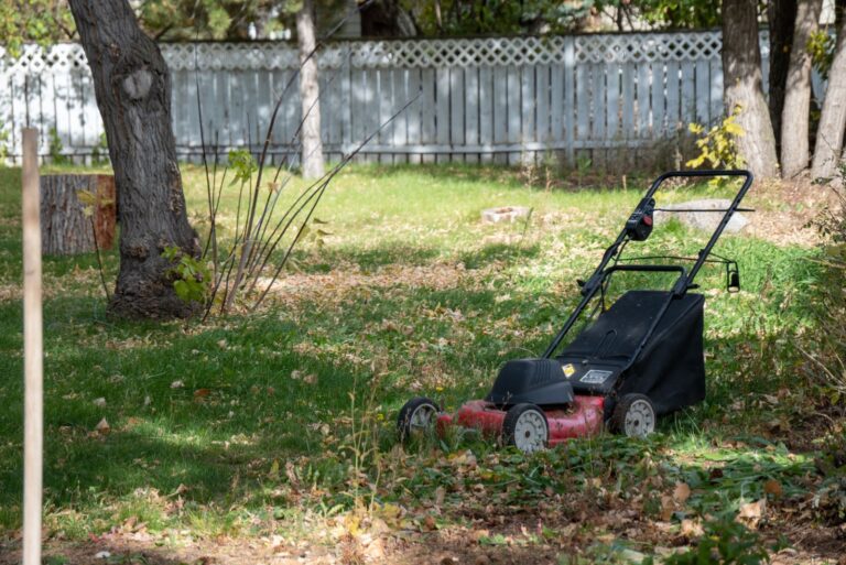lawn mower on fall lawn