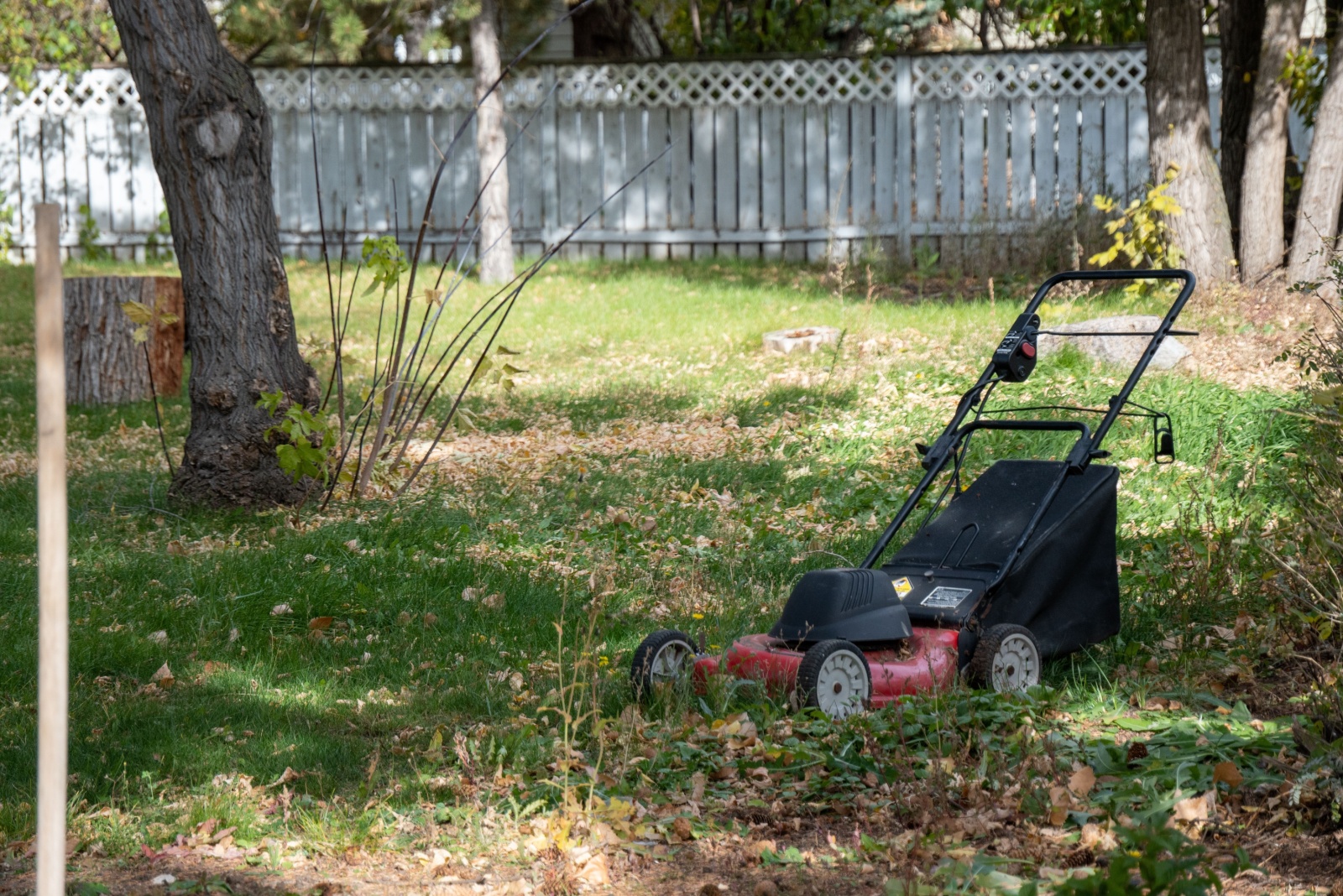 The Golden Rule For Knowing When To Stop Mowing In Louisiana This Fall