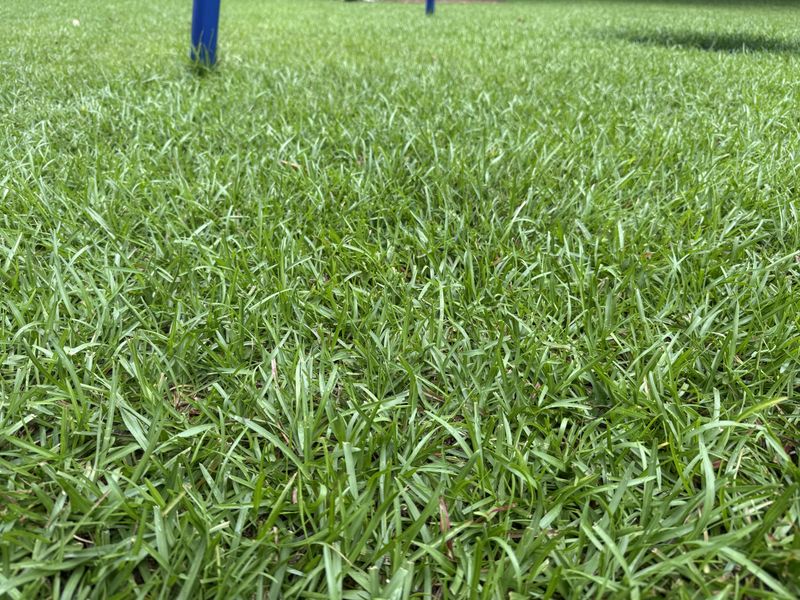 Temperature Drops Signal Slower Growth