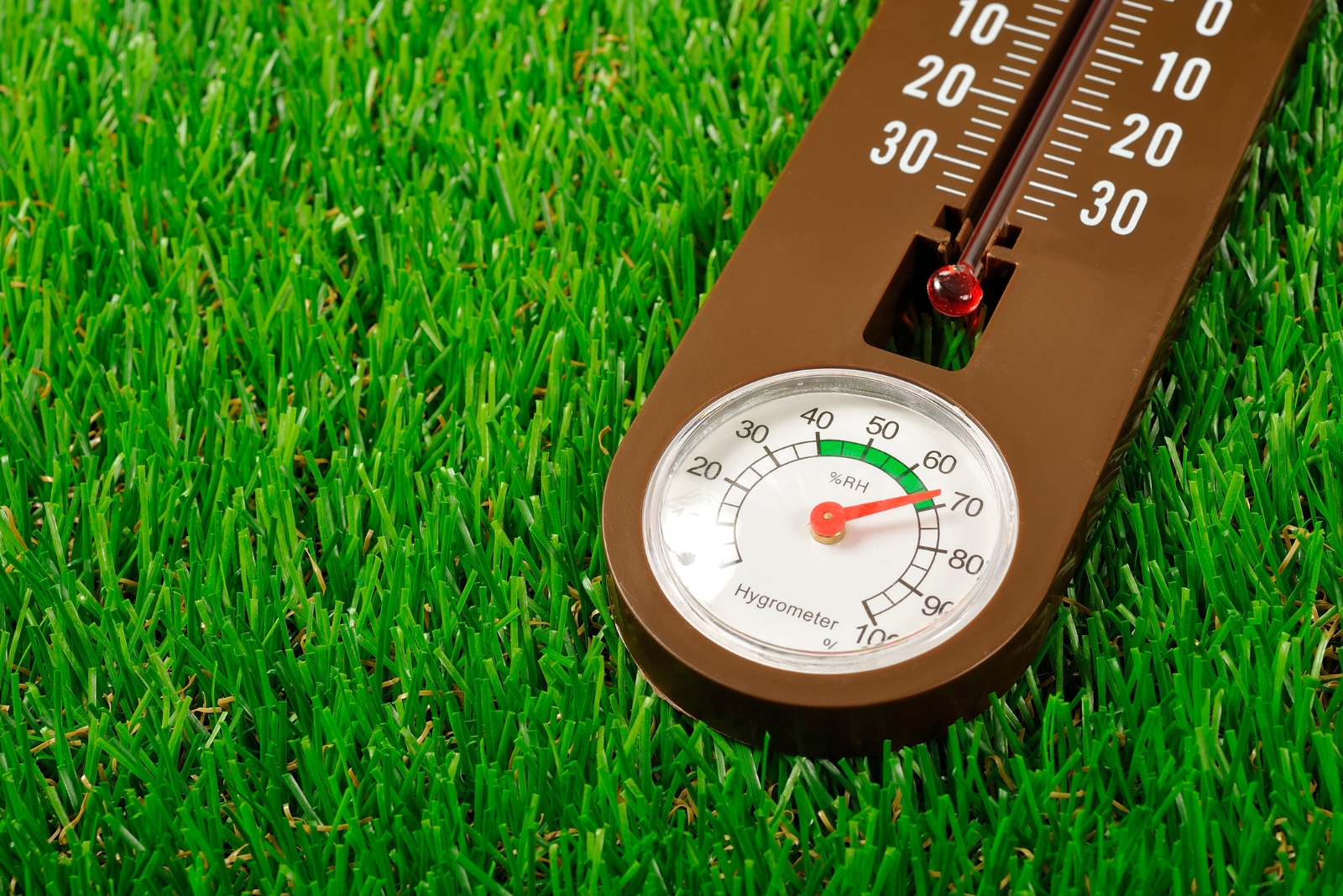 The Golden Rule Texans Use To Know When Fall Mowing Should Stop