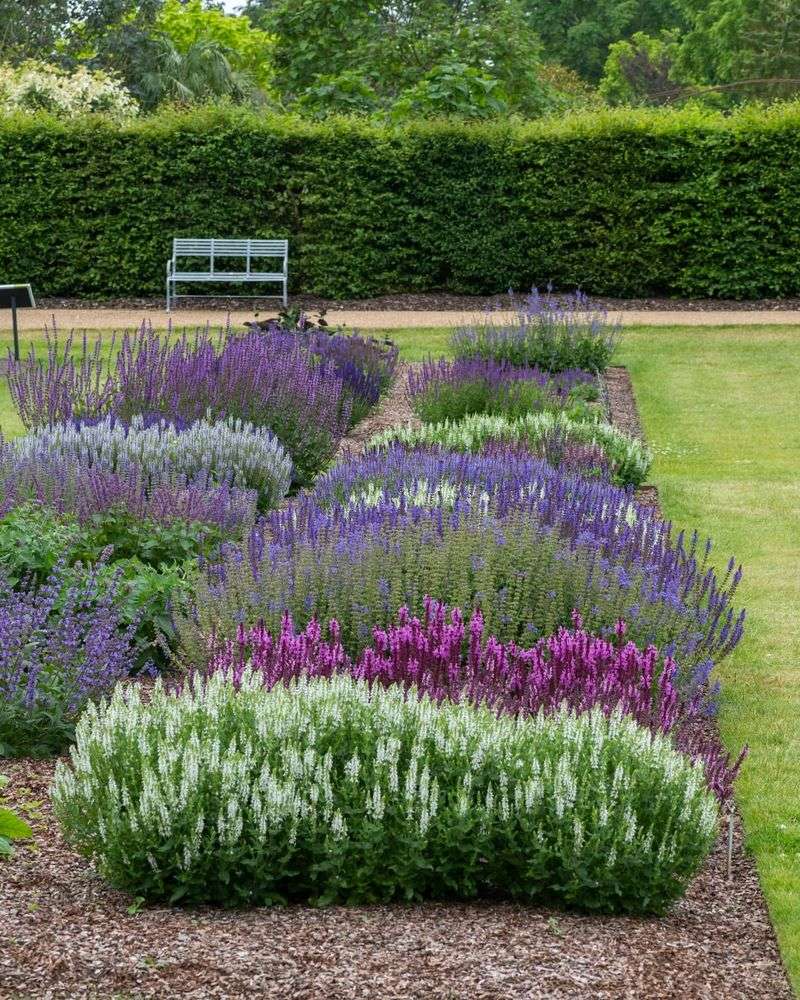 Low-Water Plants Stealing The Spotlight In Hotter States