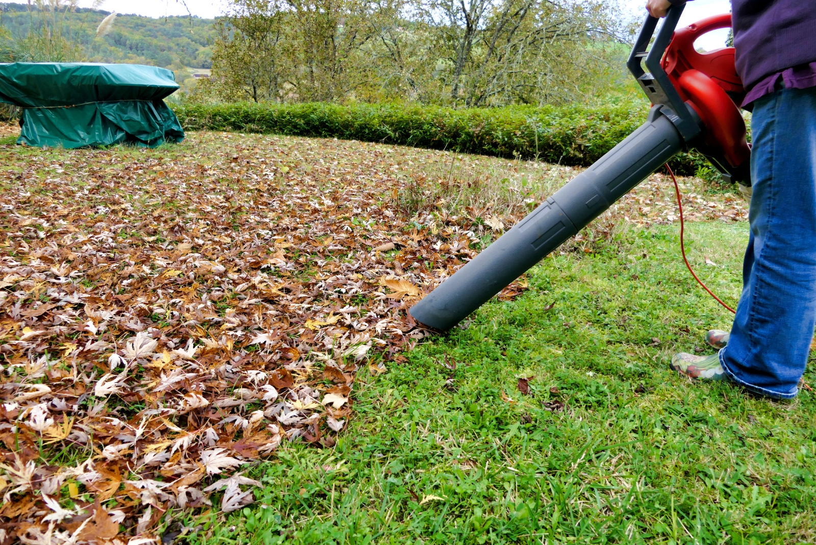 The Key December Lawn Step Minnesota Homeowners Skip Too Often