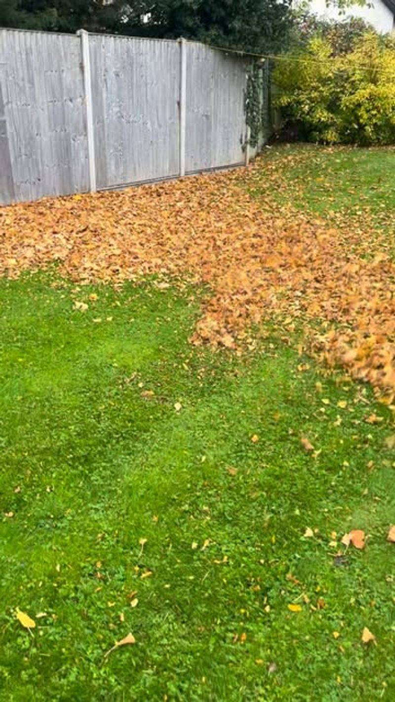 Prevents Grass Suffocation Under Heavy Leaf Layers