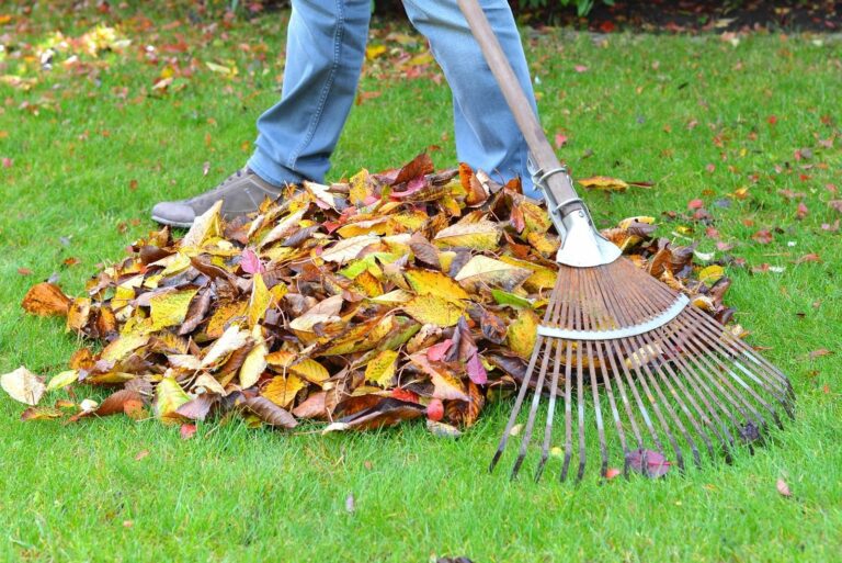 Gardener Raking Rake Leaves