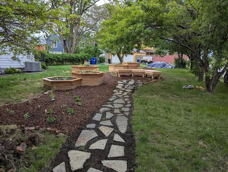 Compact Fruit Trees Fit Perfectly in Small Spaces