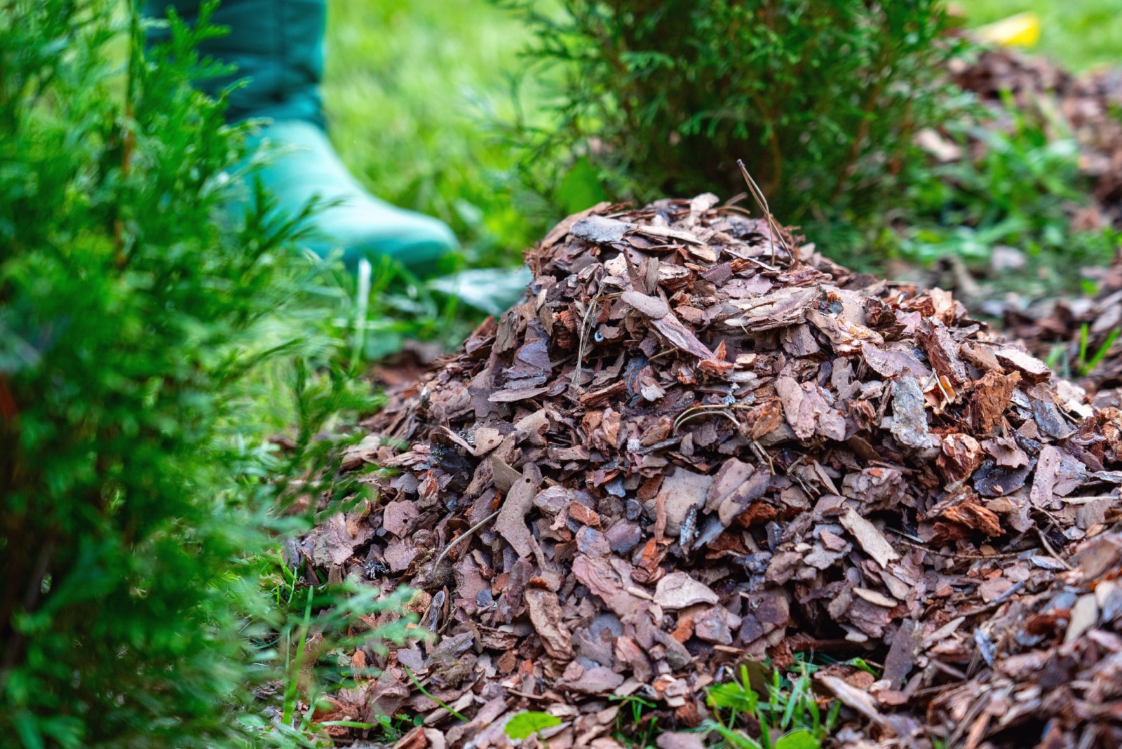 The Mulching Rule New Jersey Gardeners Should Follow Each Winter
