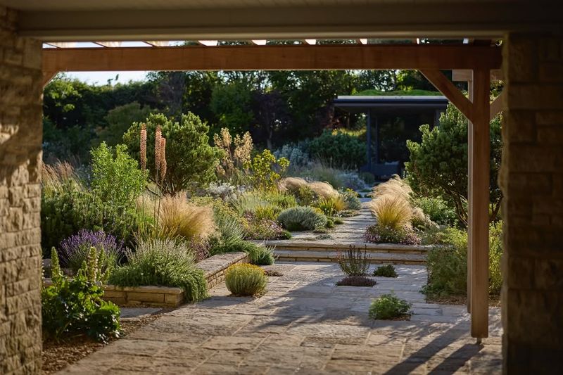 Creative Layouts That Make Dry Gardens Feel Alive And Intentional