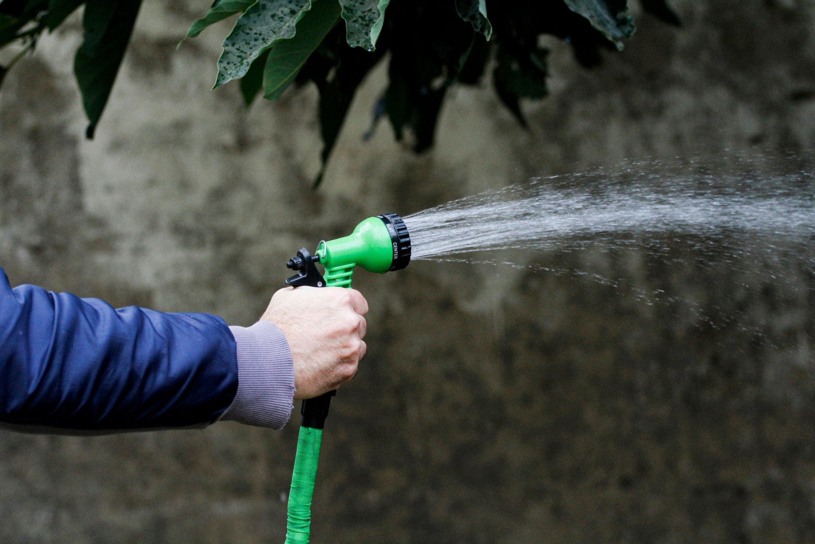 Closeup of a man´s hand holding a hose and watering the garden