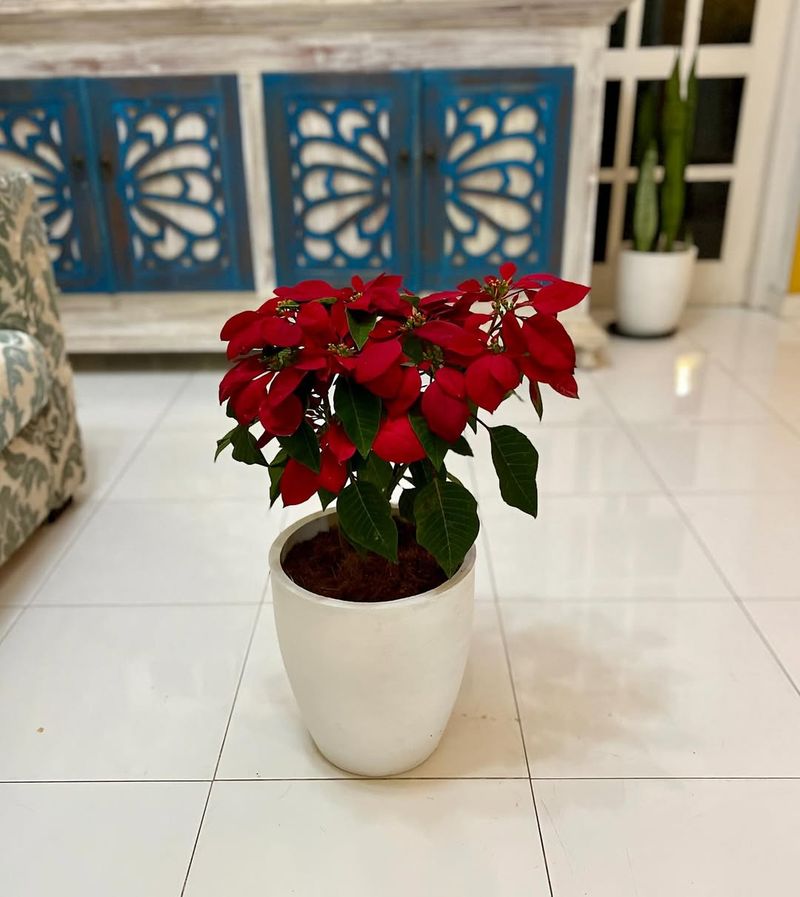 Understanding The Core Rule Itself