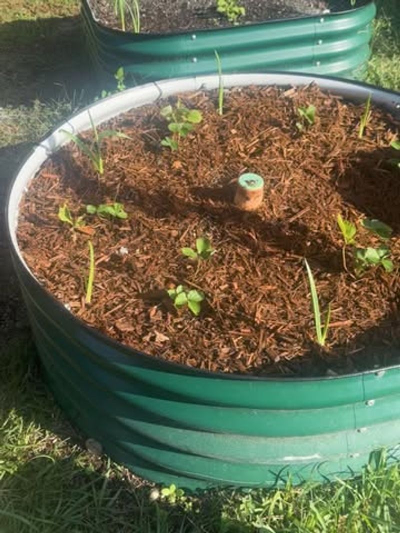 Compaction Creates Rock-Hard Clumps