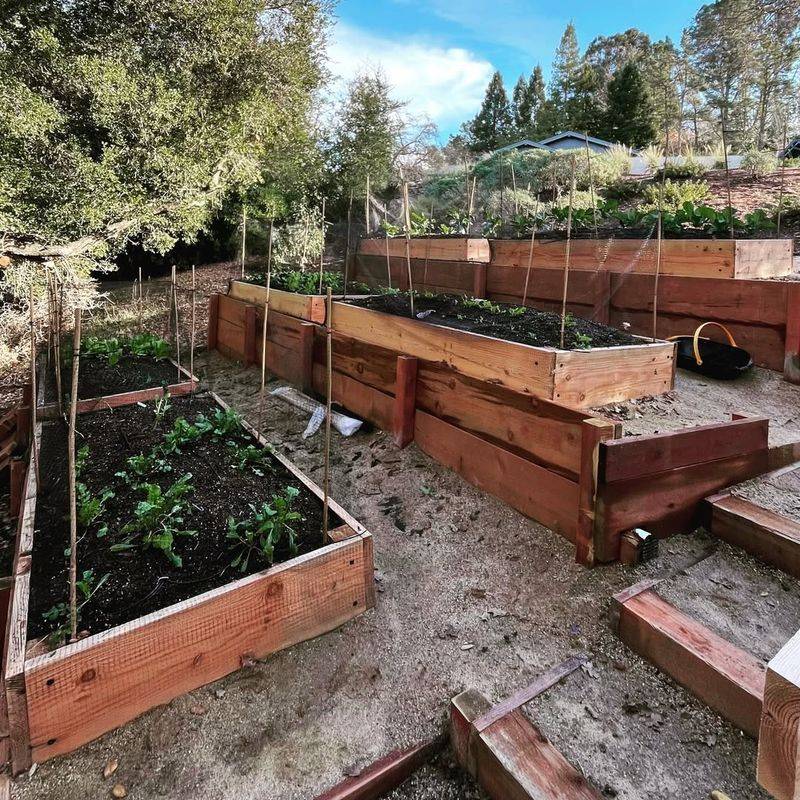 Timing Your December Planting Window