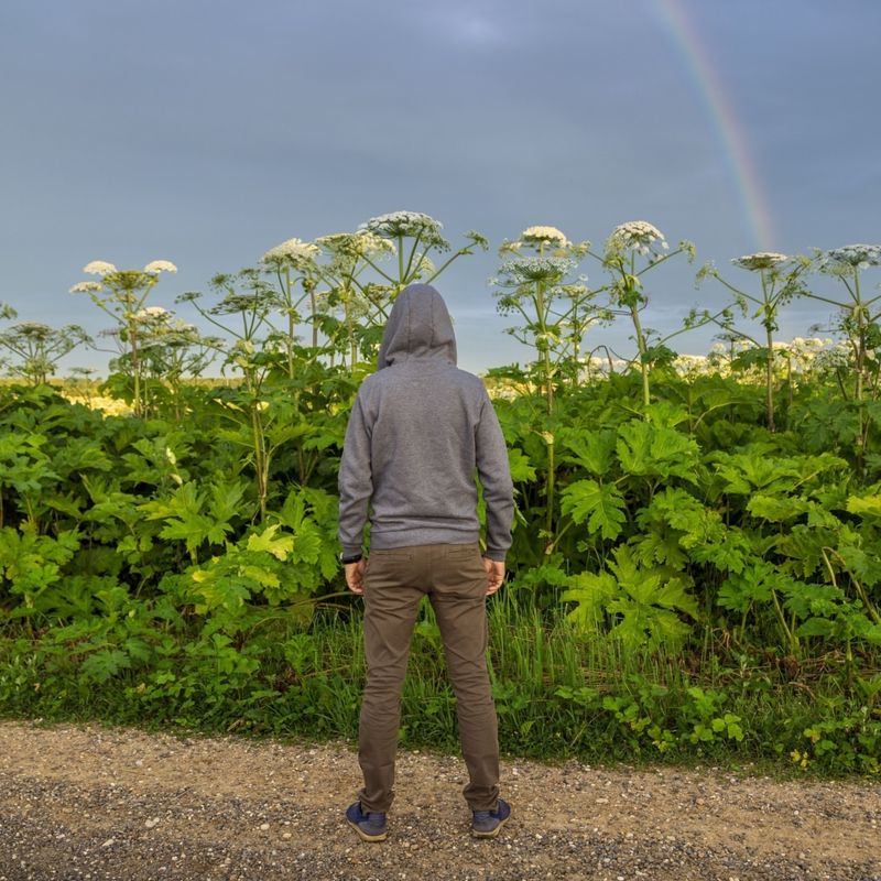 Toxic Sap Causes Severe Skin Burns