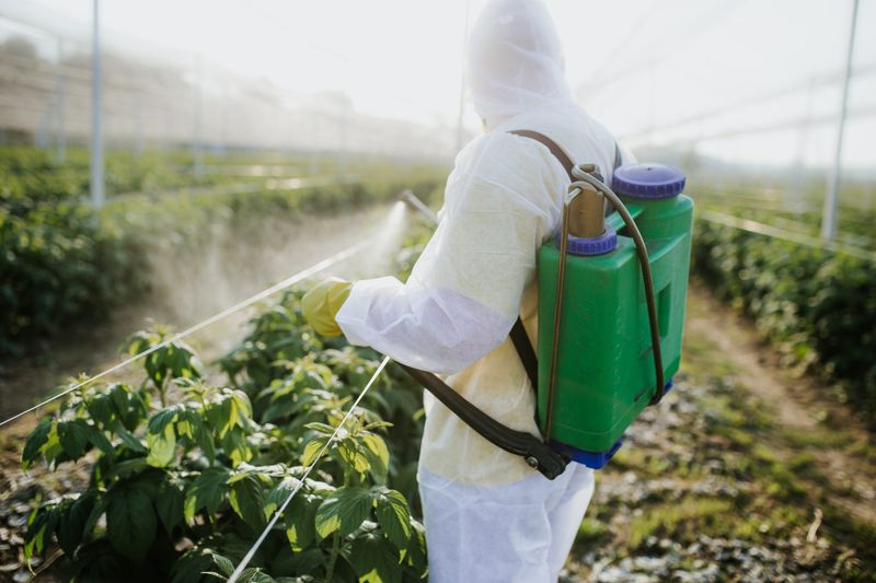 Pesticide Use On Farms