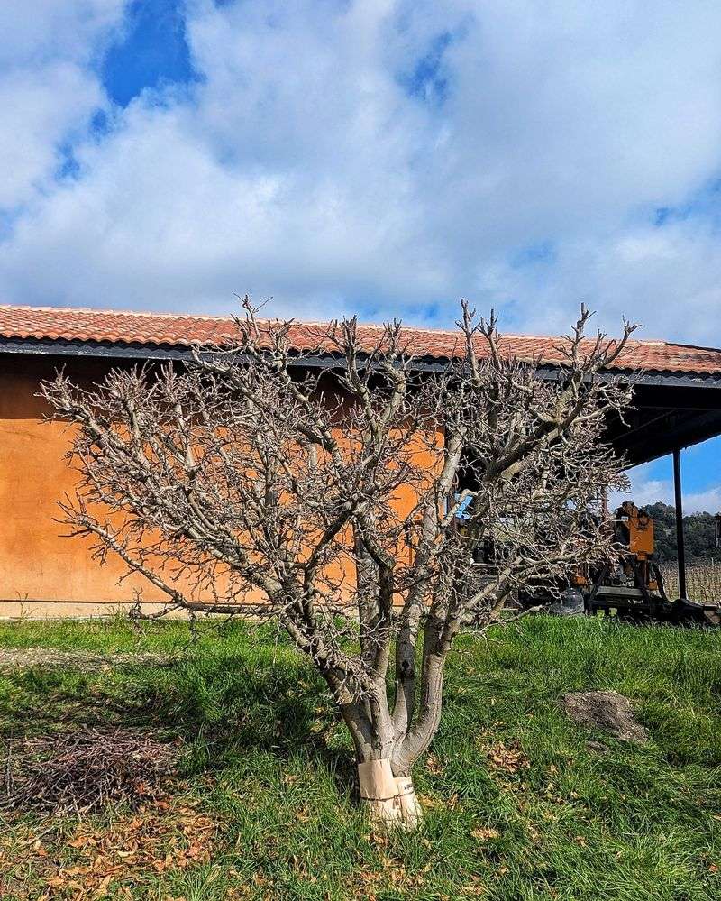 Late Fall Offers The Perfect Window