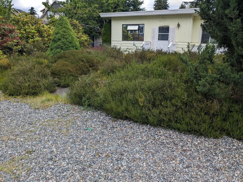 Potential Liability for Plant Damage