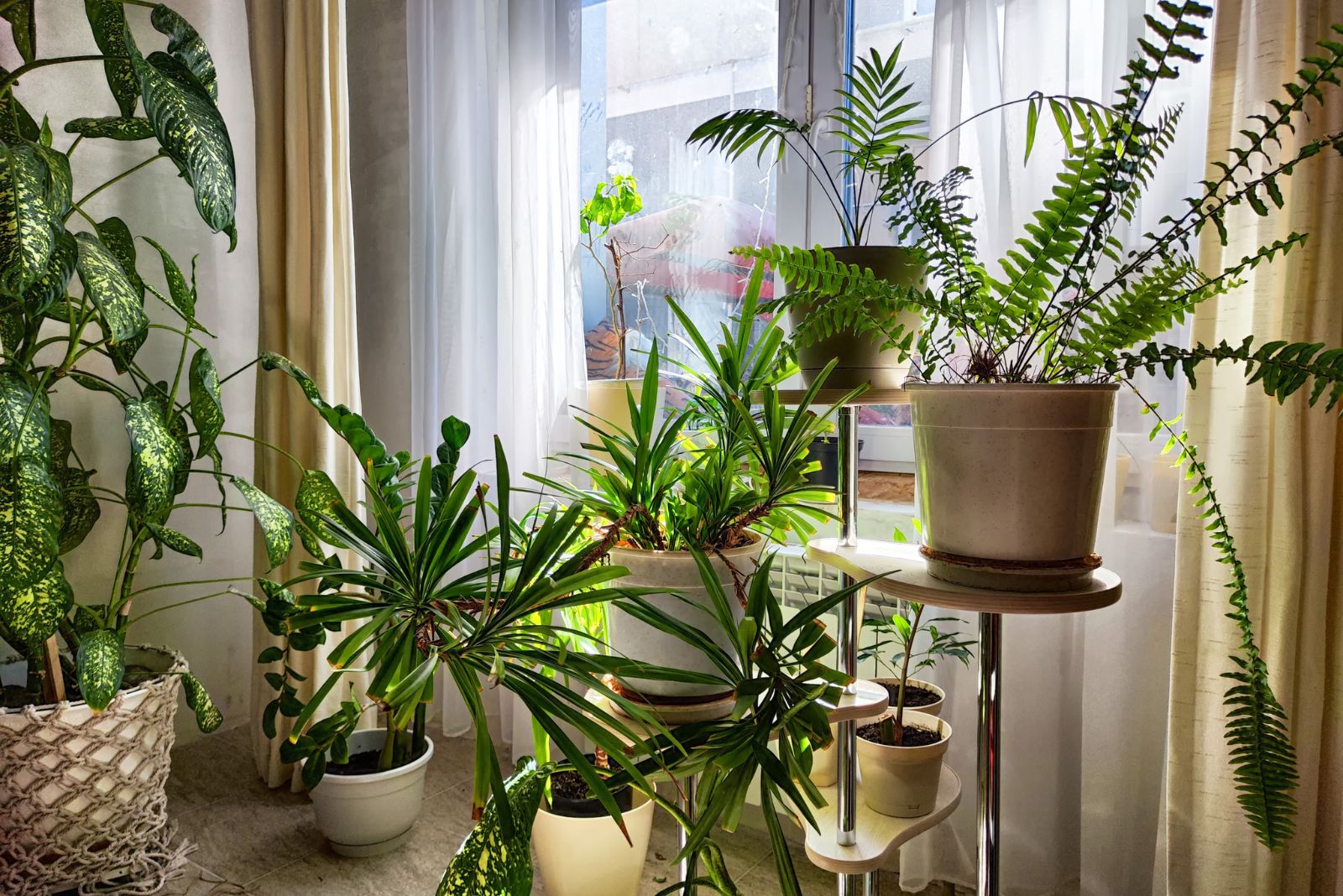 The Simple Cure For Indoor Gardeners In Minnesota Struggling With Low Humidity