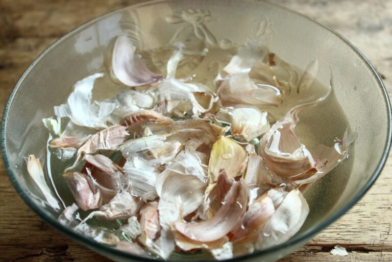 Garlic skin soaked in water