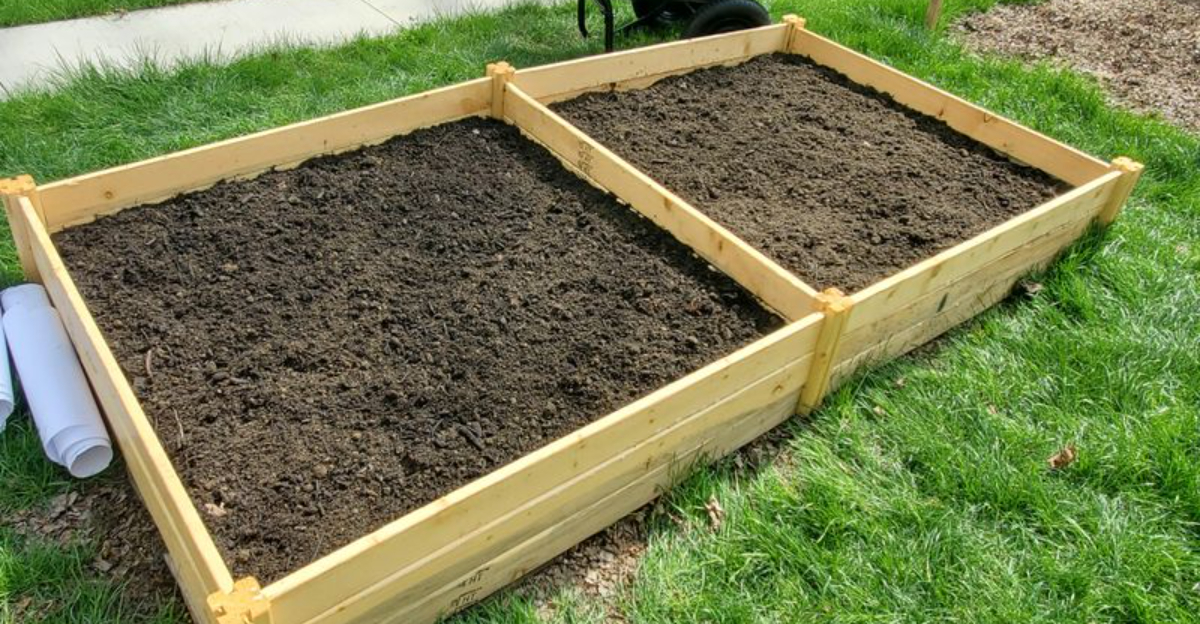 The Soil-Reviving Trick North Carolina Homeowners Are Doing In Early Winter