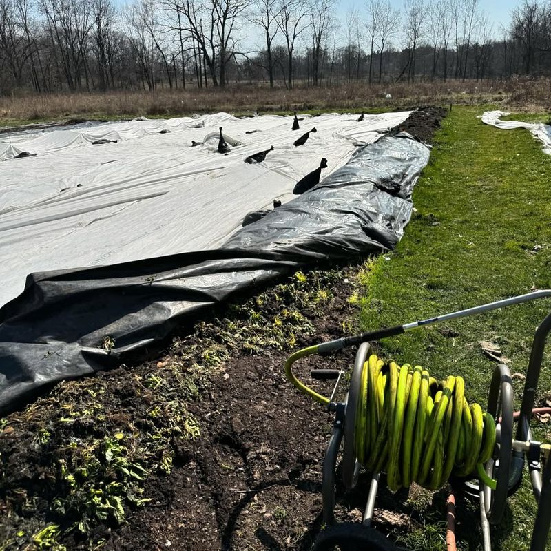 Black Plastic Absorbs Sunlight Like A Solar Panel