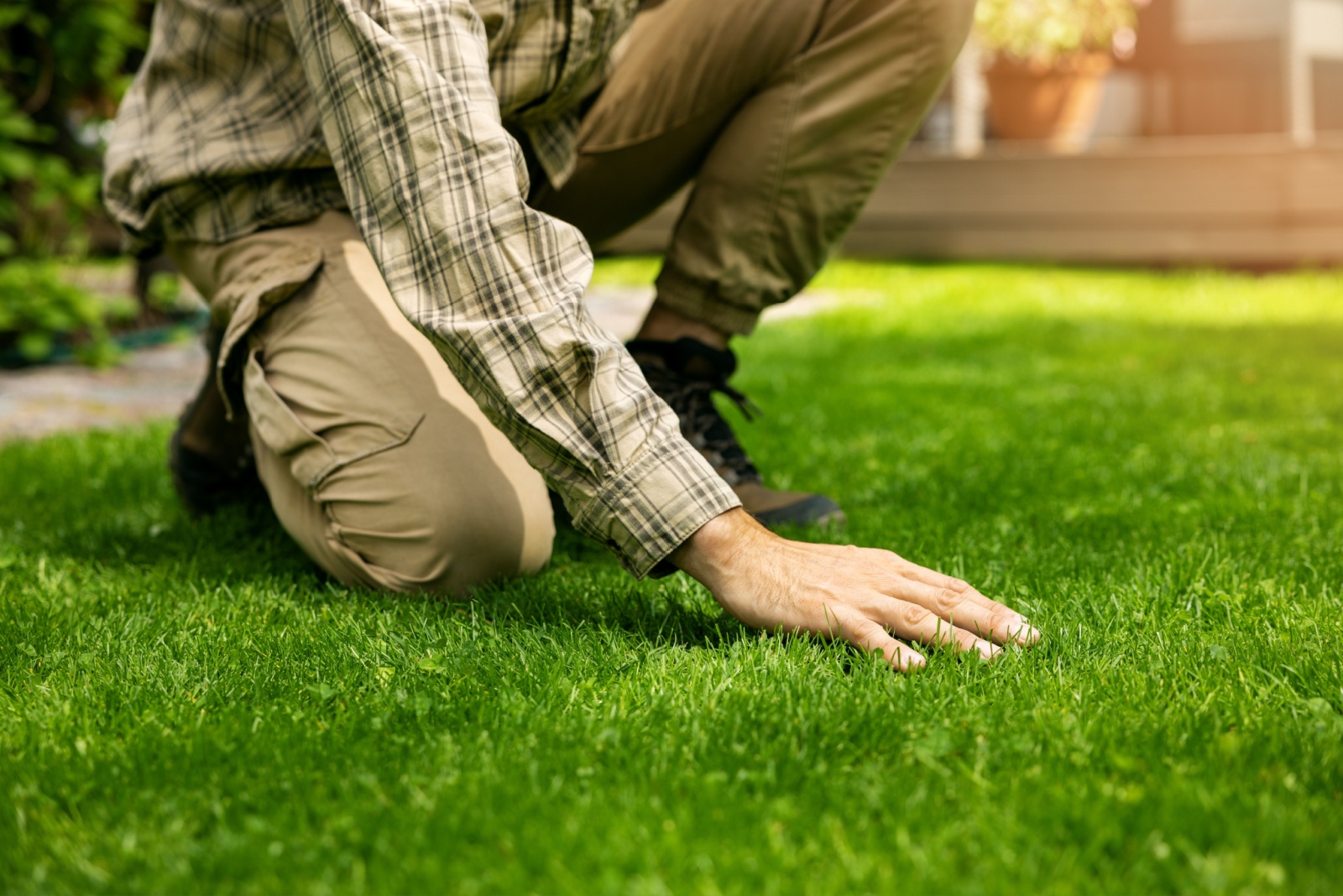 The Surprising Reason A Few Arizona Lawns Still Need Trimming In December