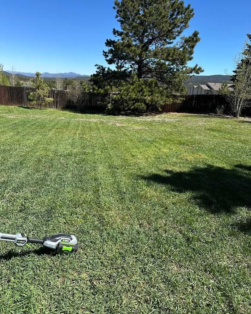 Warm Winter Temperatures Keep Grass Growing