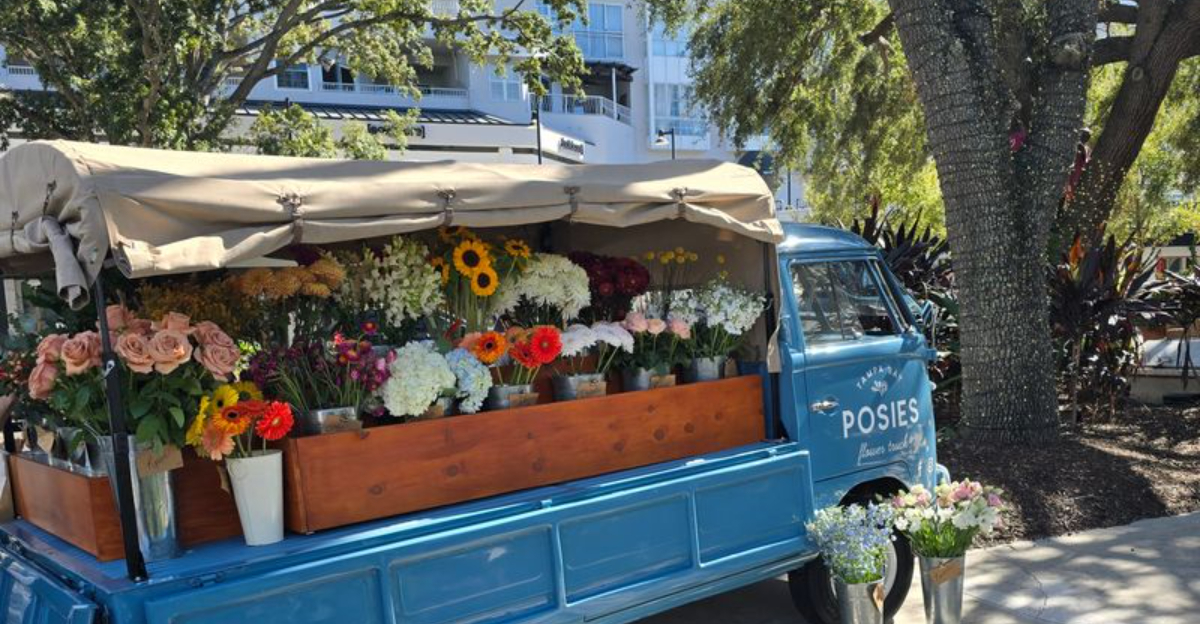 The Tampa, Florida Neighborhoods With The Most Beautiful Front Yards, According To Google Maps