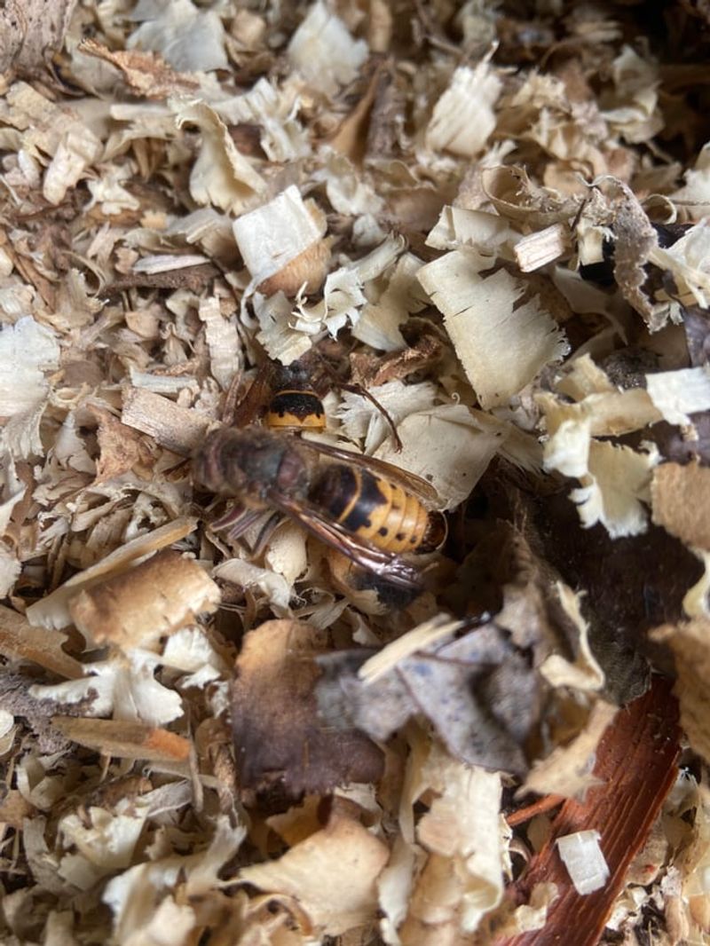 Seasonal Timing Provides Important Clues