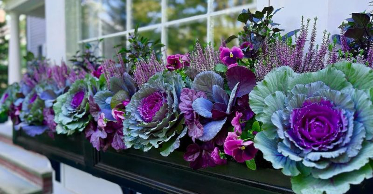 The Top 10 Plants To Add To Your Garden This December In Massachusetts