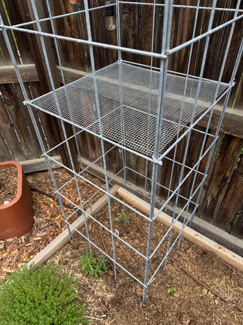 Pick The Right Cage Size For Your Plant