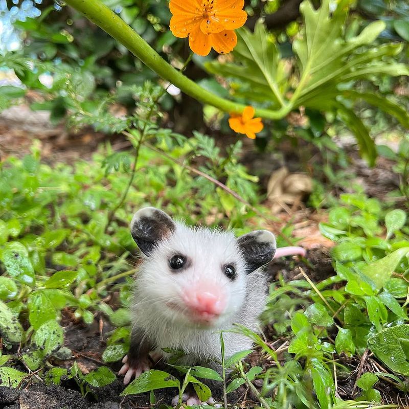 Professional Help Costs Less Than Fines