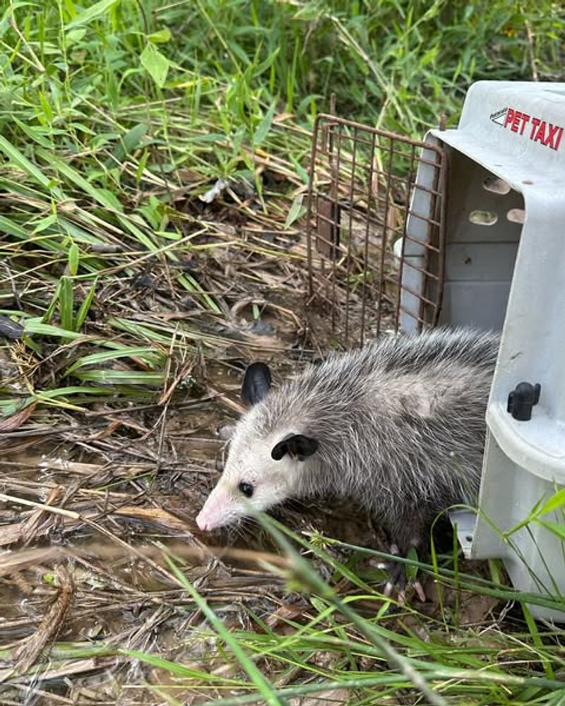 Prevention Beats Removal Every Time