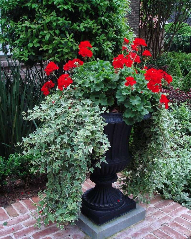 Endless Color Options to Match Your Style